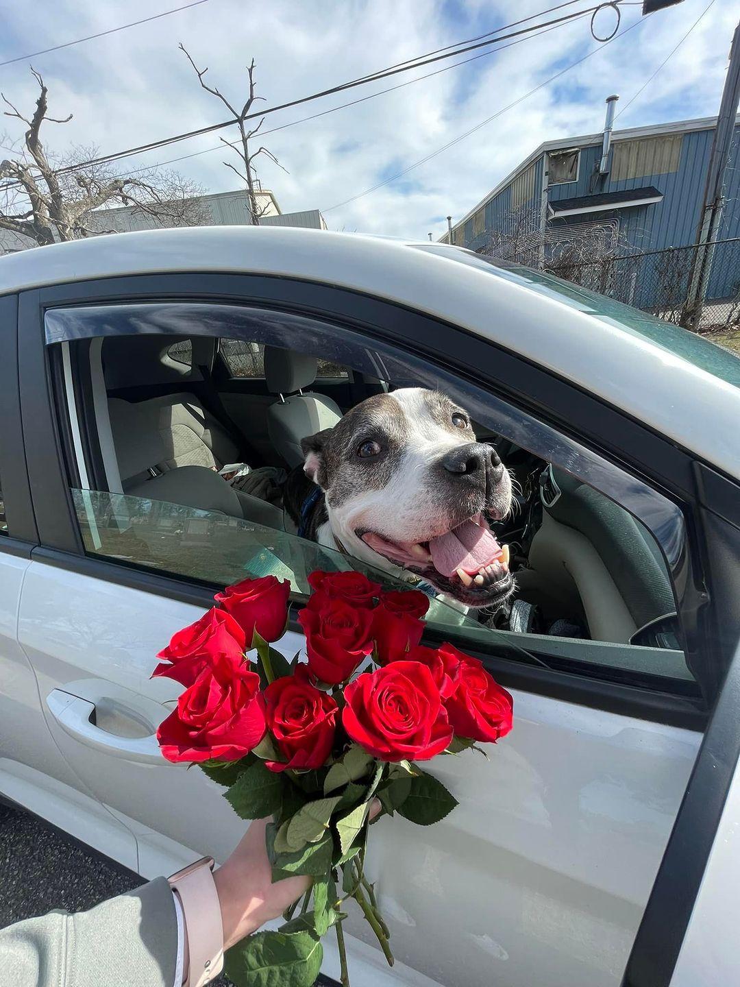 Alyssa Derrick Instagram Post Influencer Campaign