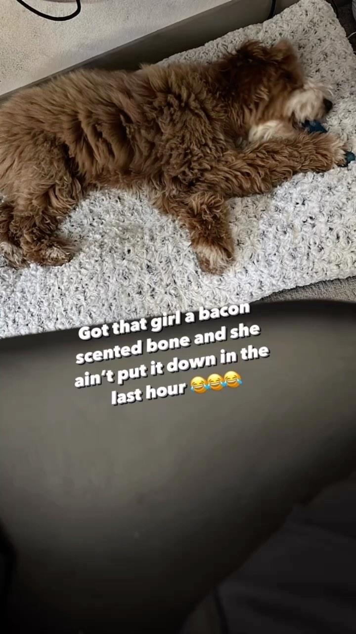 Jordan Jenkins Instagram Post Influencer Campaign