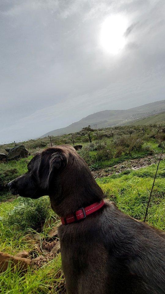 Brittany Gouws Instagram Post Influencer Campaign