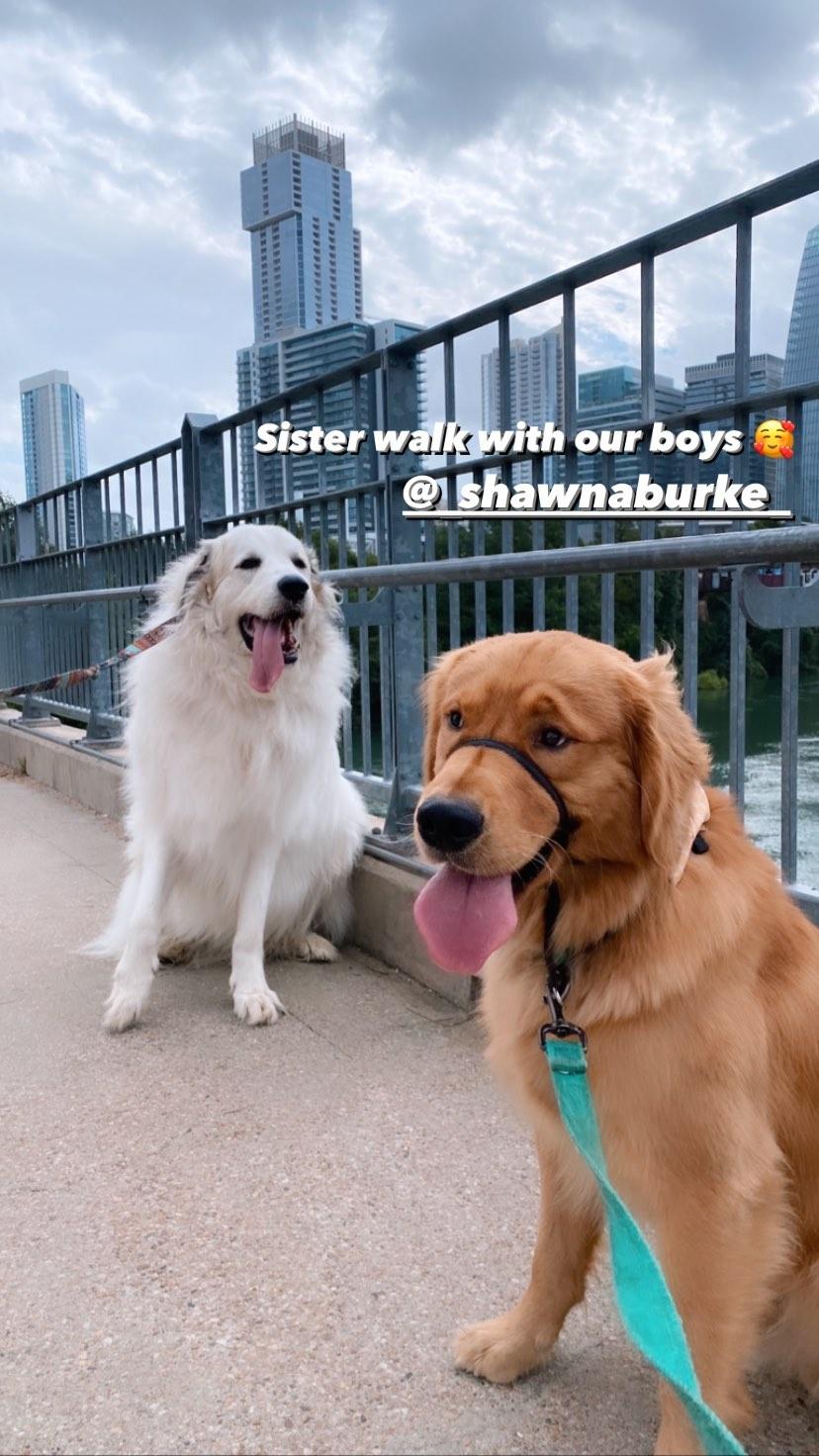 Lauren Carpenter Instagram Story Influencer Campaign